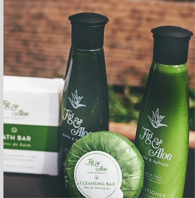 Fig & Aloe Collection