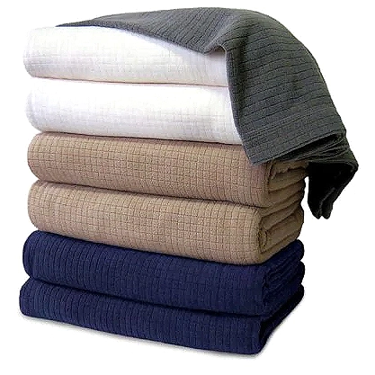 Polartec Softec Lightweight Blanket by Berkshire